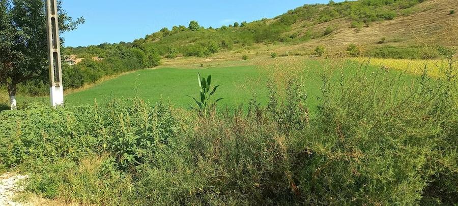 Teren de 5500 mp, în Central