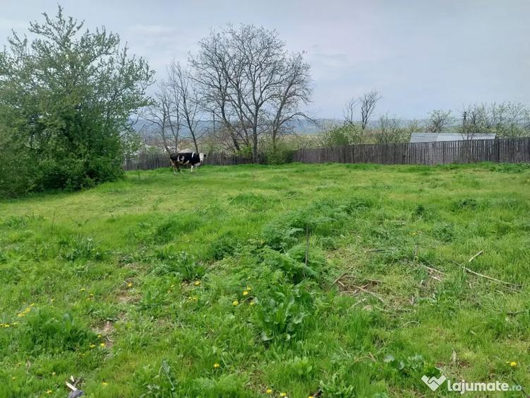 Casă cu 3 camere în Boghești