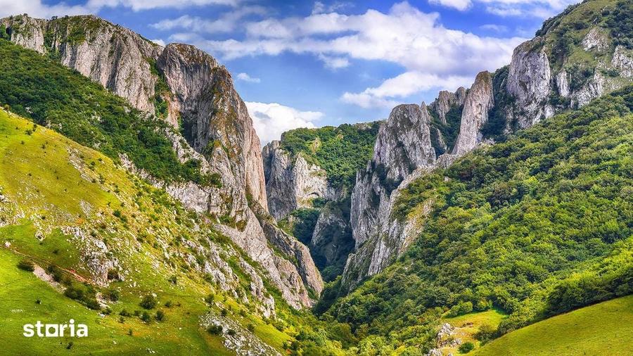 Teren de 14000 mp, în Mihai Viteazu