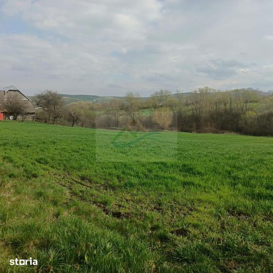 Teren de 3200 mp, în Bosanci