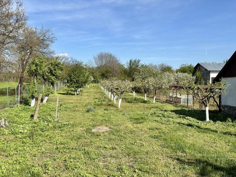 Casă cu 2 camere în Alexeni