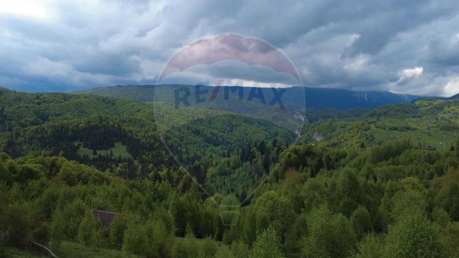 Teren agricol extravilan de 38704 mp, în Șirnea