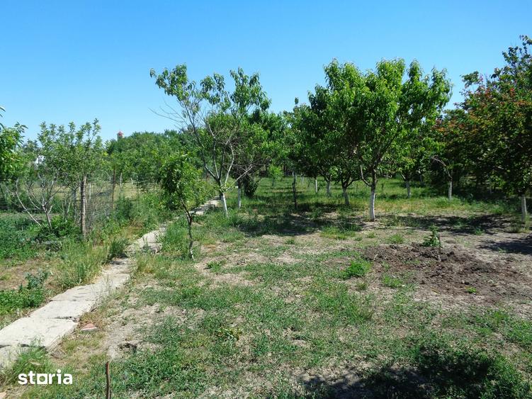 Casa solida, 2 locuri de casa 5132 mp, fs 42 ml, anexe , livada - 8