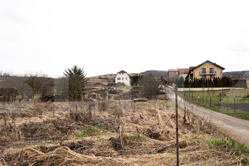 Teren Construcții intravilan de 7088 mp, în Borhanci