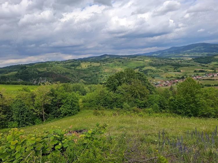 Teren de vanzare Ro?ia, Bihor - 4