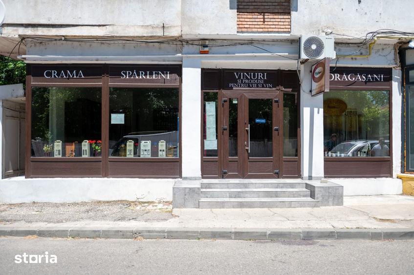 Teren de 600000 mp, în Vâlcea