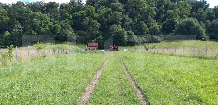 Teren Construcții intravilan de 3000 mp, în Sud-Est
