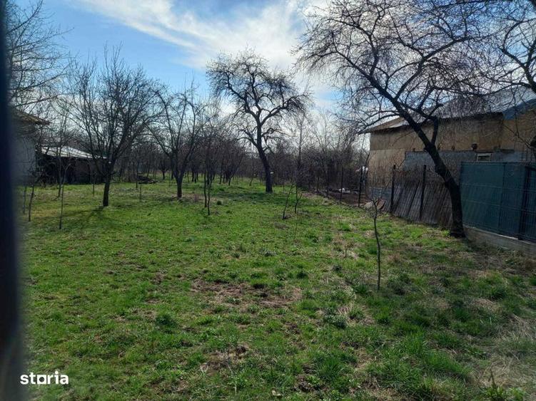 Teren de 2500 mp, în Scorțeni