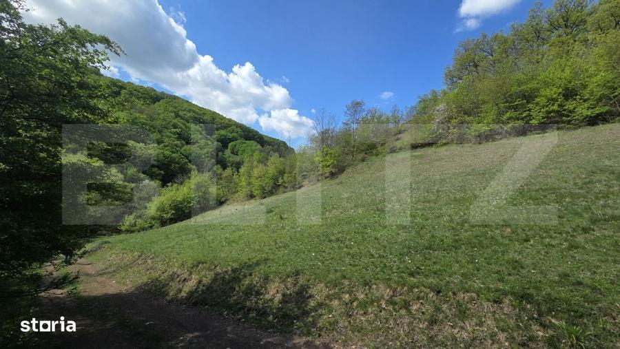 Spațiu comercial, în Pădure