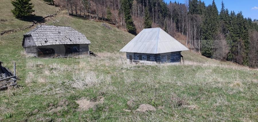 Teren Construcții extravilan de 206189 mp, în Vatra Dornei