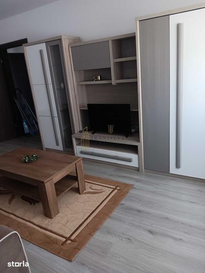 Apartament cu 2 camere decomandat în Turnișor