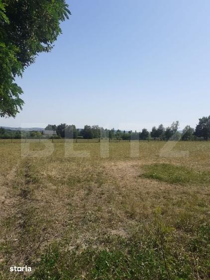 Teren 26 ari, extravilan, langa padure, zona Partestii de Jos - 1