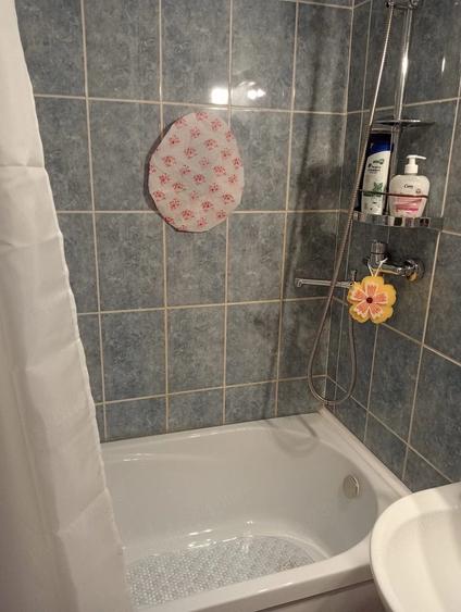 Apartament cu 2 camere nedecomandat în Dacia