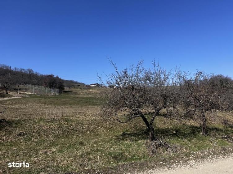 17 parcele Teren extravilan Drumul Dumitrei Noi - 2