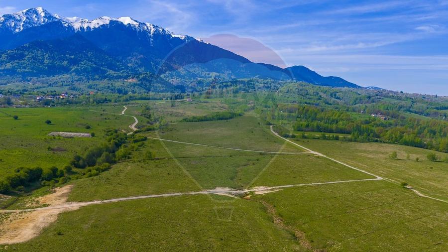 Teren agricol extravilan de 13800 mp, în Glăjărie