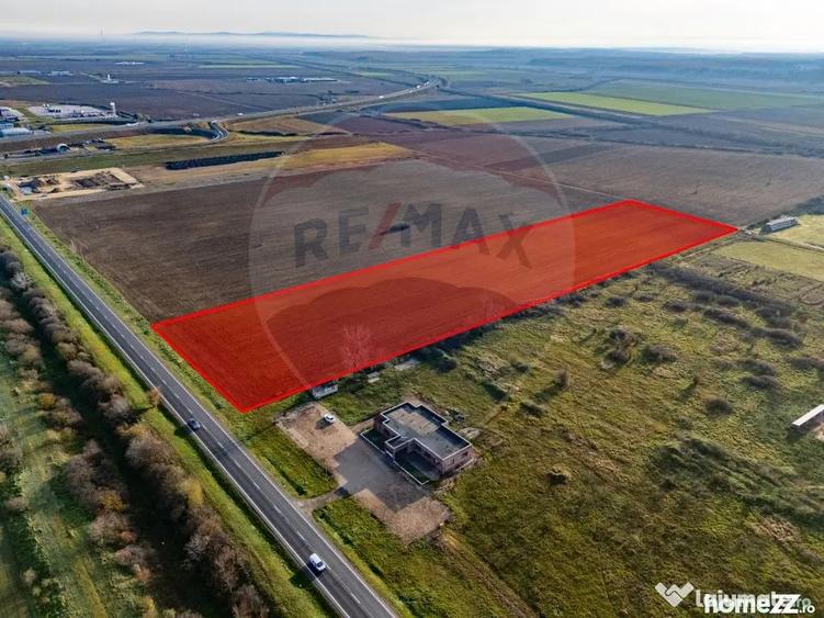 Teren 29220 mp Pecica,DN7, langa autostrada- Ideal pentru afaceri - Pecica (Arad) - 6