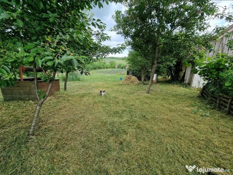 Teren intravilan in sat Feiurdeni, suprafa?a 1573mp - 1