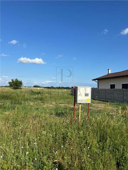 24 Terenuri- Mosnita Noua- TOATE UTILITATILE- zona in plina dezvoltare - 1