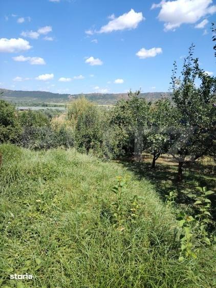 Casă cu 3 camere cu Teren 3900 Mp în Florești
