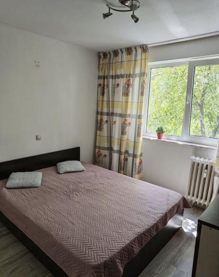 Apartament 2 camere decomandat Raul Doamnei, Drumul Taberei - 4