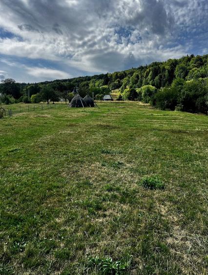 Vand teren zona Vladeasa, Visagu - 9