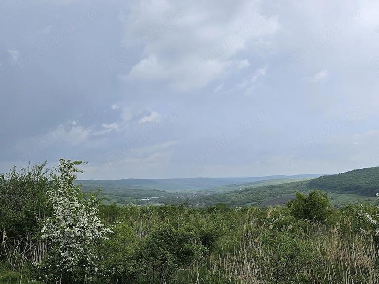 Teren de 2900 mp, în Corușu