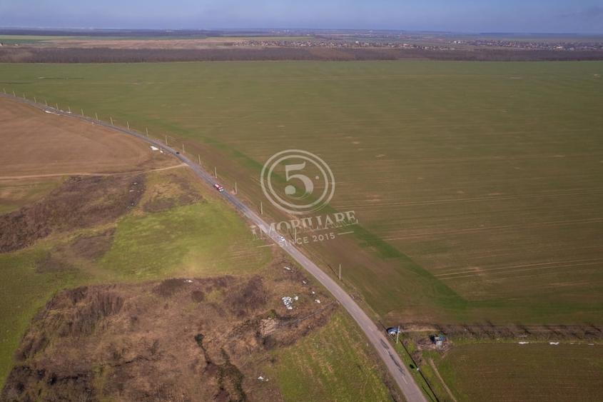 Teren Construcții intravilan de 80000 mp, în Frumușani