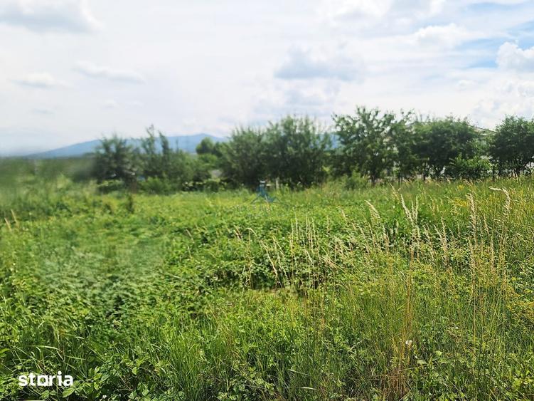 Teren Intravilan cu PUZ \ destinatie Comercial - 1