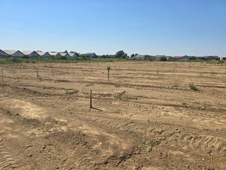 Teren Construcții intravilan de 400 mp, în Est