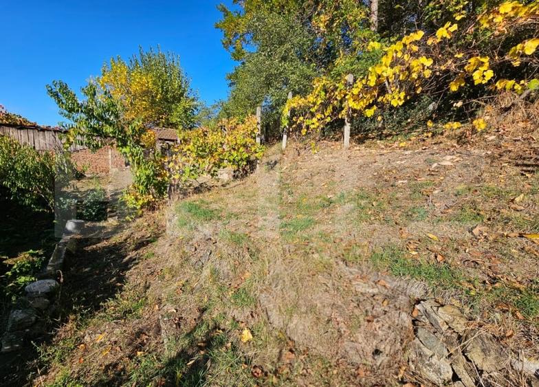 Casă individuală cu 5 camere cu Canalizare în Cugir