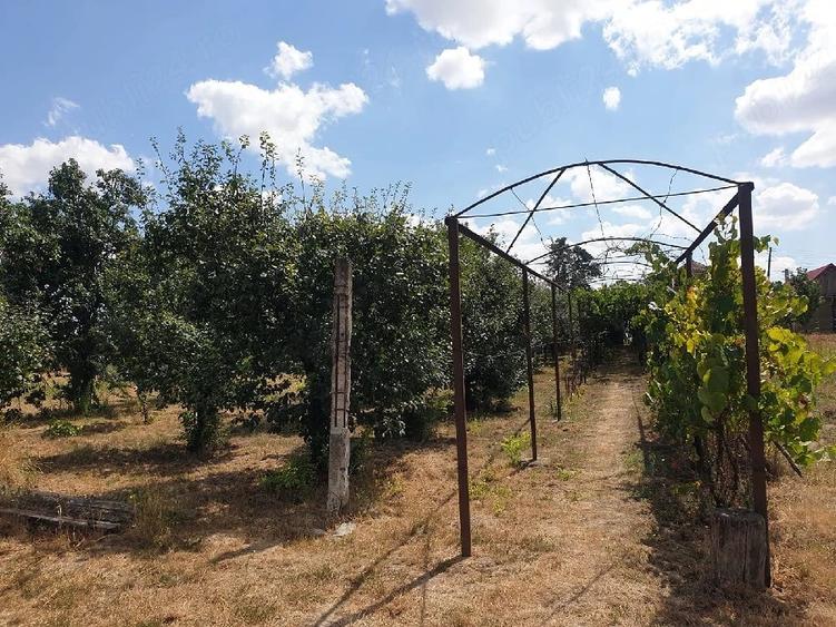 Casă cu 2 camere cu Teren 1500 Mp în Central