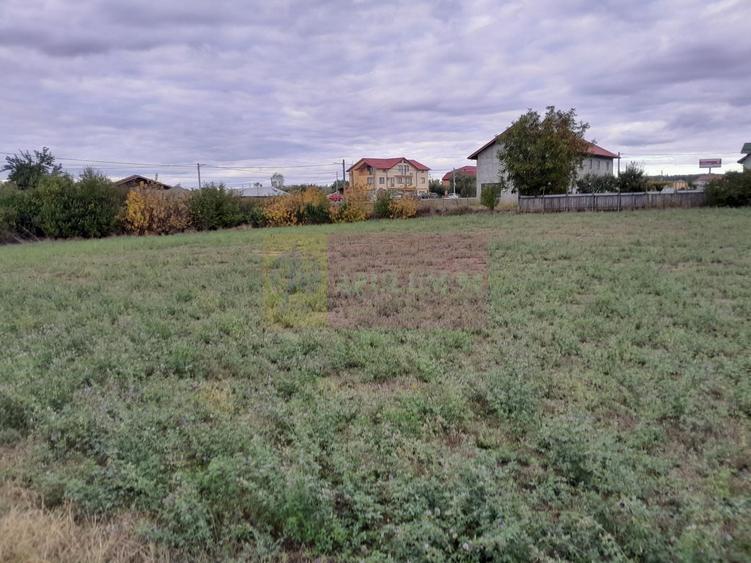 Teren Construcții intravilan de 2062 mp, în Coșereni