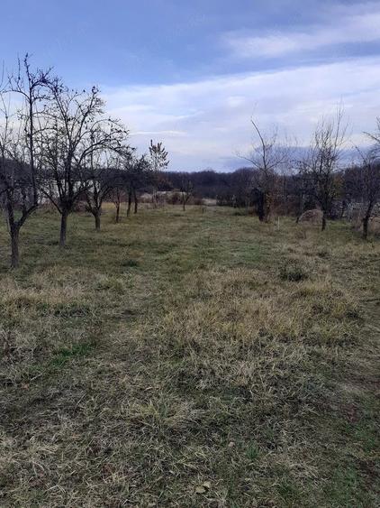Casă cu 2 camere cu Teren 80000 Mp în Mareș