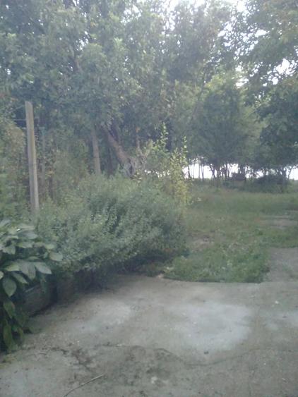 Teren de 1500 mp, în Sărulești