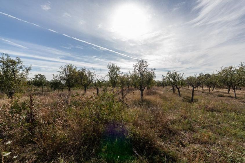 Teren agricol intravilan de 2847 mp, în Cuca