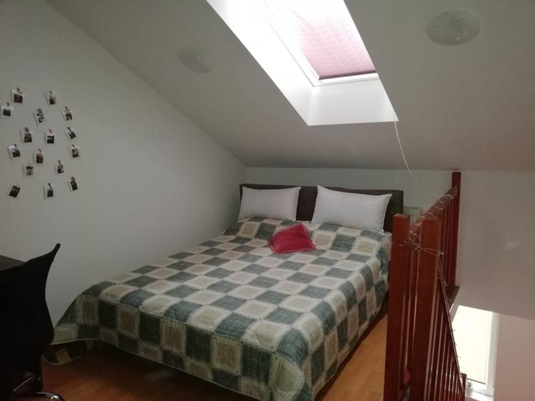 Apartament cu 2 camere, PET FRIENDLY, zona Podu Ros - 1