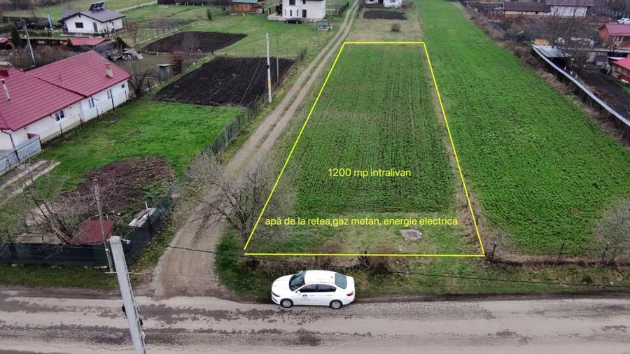 Teren 1200 mp Vadurele - comuna Alexandru cel Bun , cu utilitati - 2