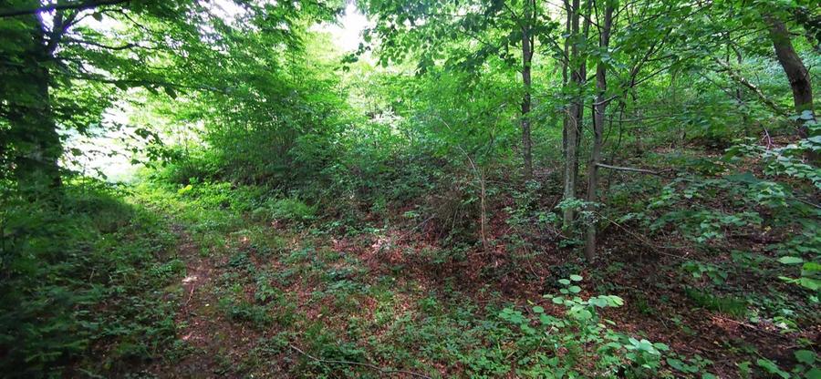 Teren Valiug 900-2400 mp acces auto utilita?i negociabil - 14