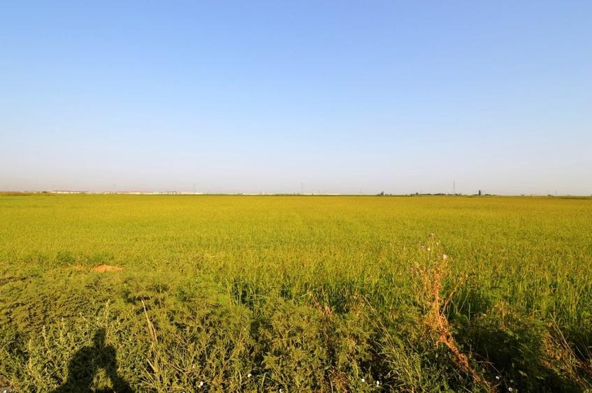 Oferta Vanzare Teren Intravilan Dobroesti - 7