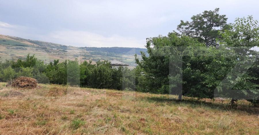 Teren intravilan construibil 2000 mp, Valea Chintaului, curt - 3