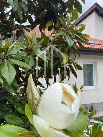 Casa de inchiriat, cu 4 camere curte 750 mp. in Selimbar-str. N.Brana - 22