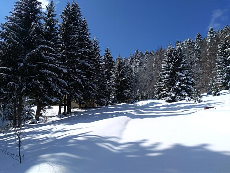 "Oază montană la Pârâul Rece – pensiune complet funcțională, în inima pădurii. - 6