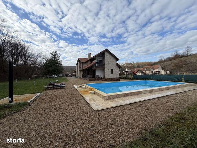 Pensiune/Casa de vanzare natura verde Cladova - 10