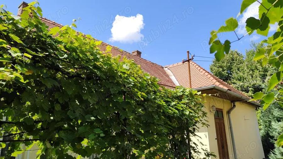 casa singur in curte ULTRACENTRAL - cu magazin stradal - 2