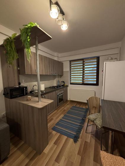 Apartament cu 2 camere  zona Palas - 2