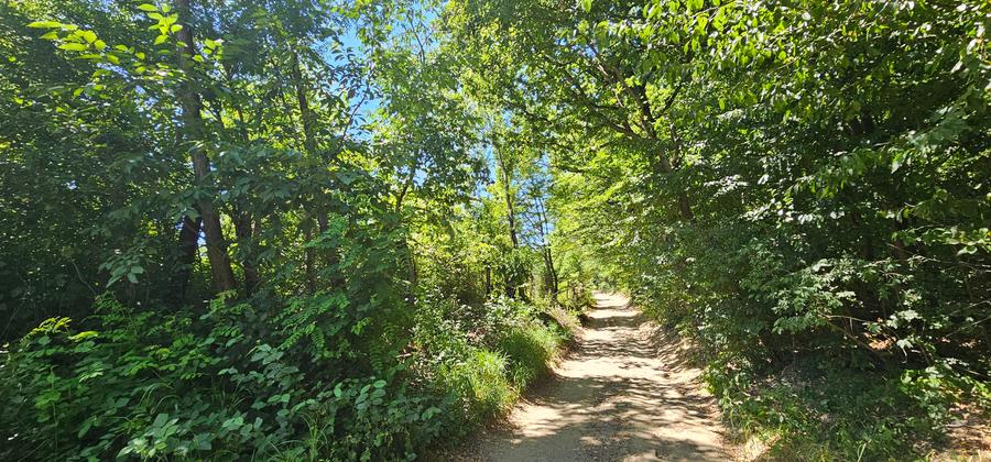 Vand de constructii situat la sosea in Tropinii Noi, cu PUZ, - 5