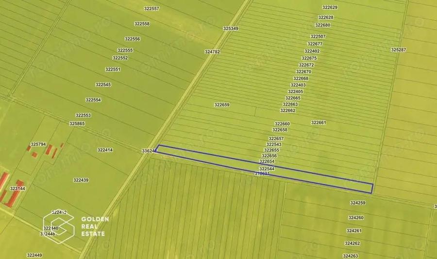Teren agricol, 14 630 mp, Vladimirescu, ZERO COMISION - 2