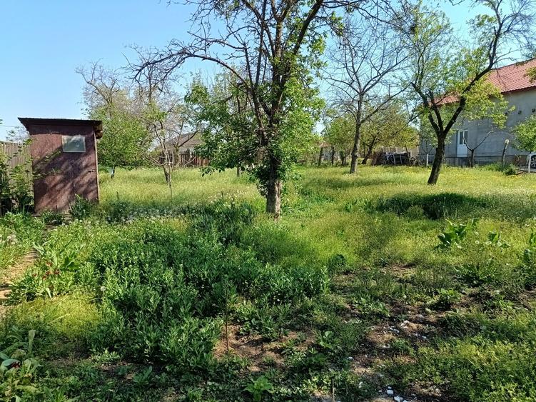 Casa 3:camere , bucatarie,baie,teren,la 8,5 km de Selgros Craiova - 4