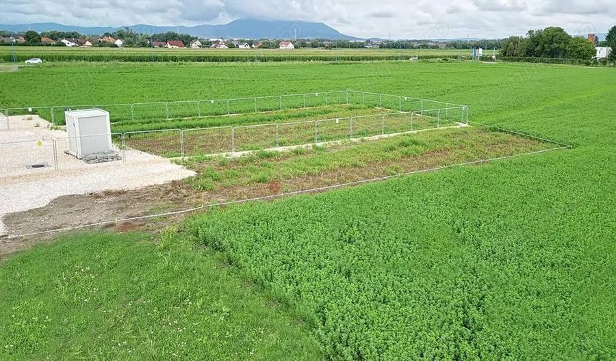 Teren Industrial - 12