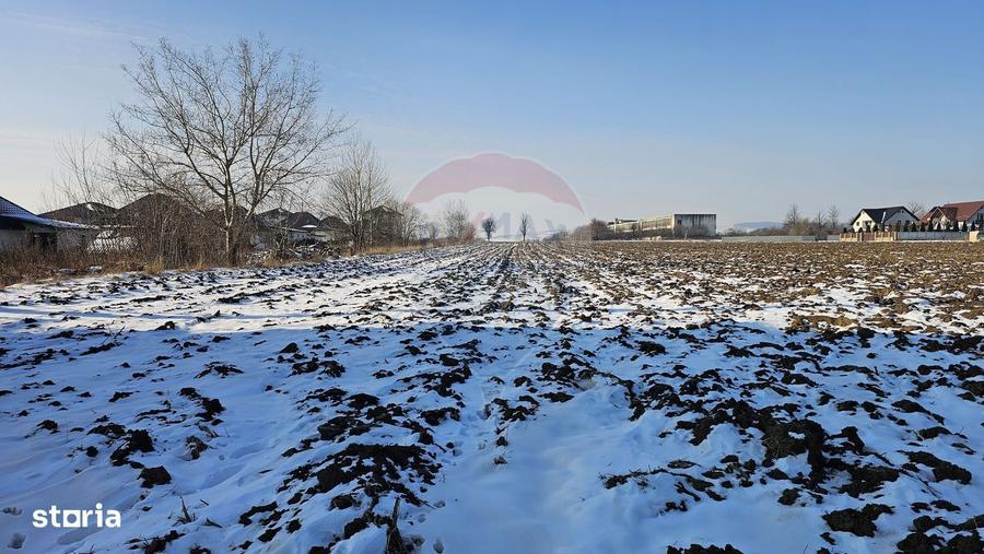 Teren intravilan 2200mp, Suceava / DJ208D - 3